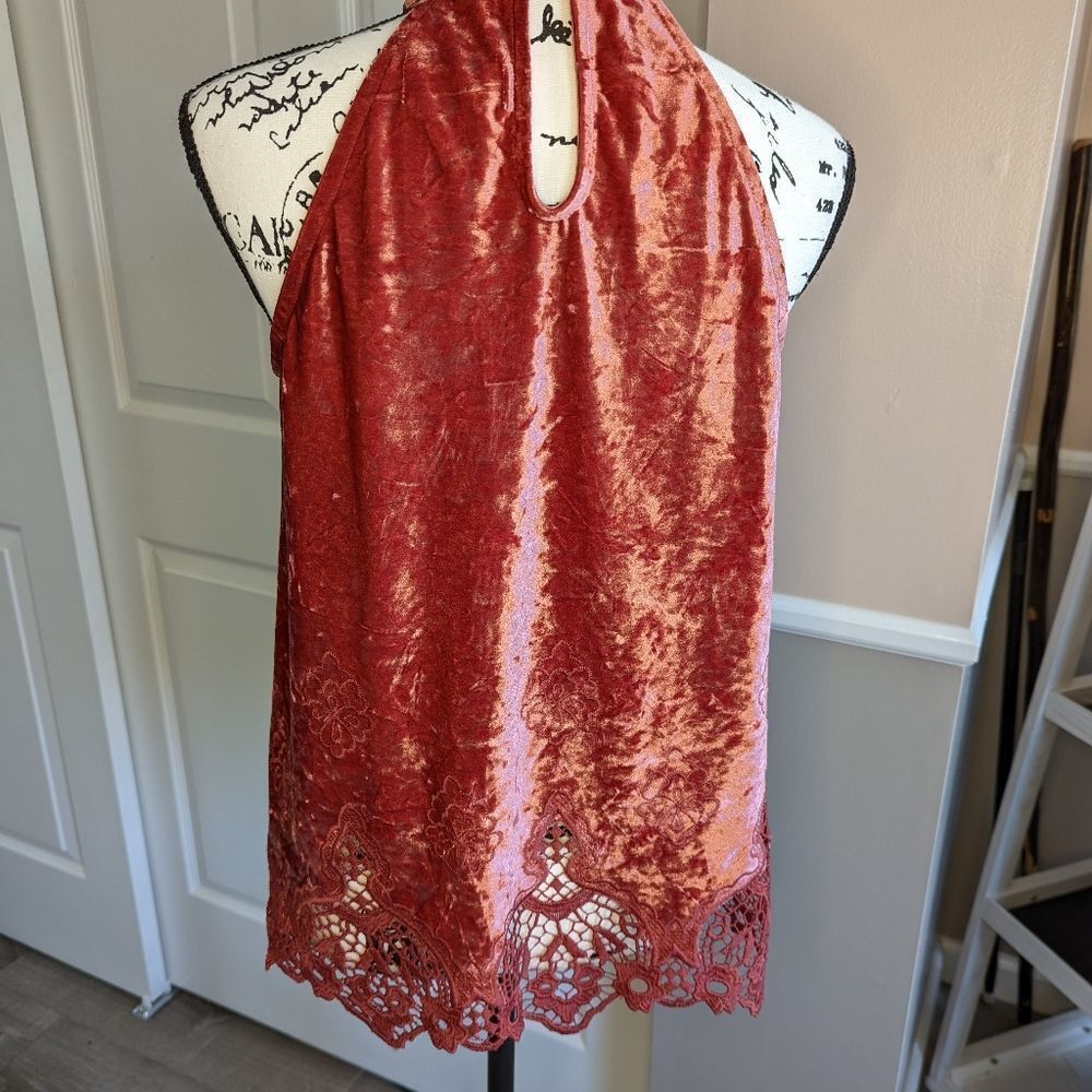 Altard State velvet top - Picture 3 of 6